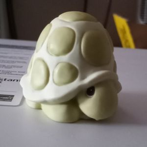 "You Can't Hide From God" turtle
